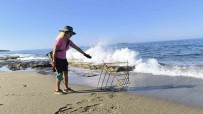 Caretta Yavrulari Denize Ulasmaya Çalisirken Plastik Bardaklarin Içinde Telef Oluyor