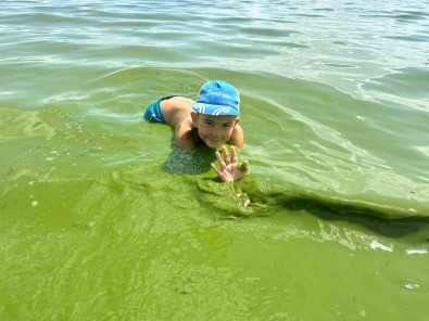Çildir Gölü Yesil Renge Büründü