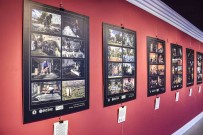 Dünya Fotografçilik Gününe Özel Sergi