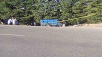 Isparta'da Otomobil Patpatla Çarpisti Açiklamasi 2 Ölü, 8 Yarali Haberi