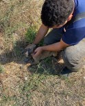 Kuyuya Düsen Yavru Köpegi Itfaiye Kurtardi Haberi