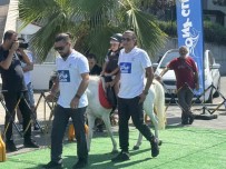 Miniklere Hayvan Sevgisi Asilandi