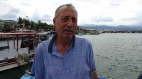 Mutlu Açiklamasi 'Bu Sezon Palamut Da, Istavrit De Umut Verici' Haberi