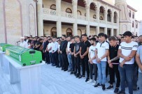 Poz Verdikleri Arabada Can Verdiler