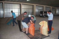 TMO Ordu'da Findik Alimina Basladi Açiklamasi Ilk Findik 132,60 Liradan Satildi Haberi