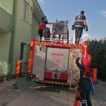 Çatida Boya Yaparken Elektrik Akimina Kapildi Haberi