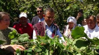 CHP Lideri Özel'den 'Findik Fiyati' Elestirisi Açiklamasi 'Hizla Revize Edilmeli' Haberi