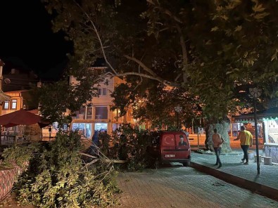 Park Halindeki Aracin Üzerine Agacin Kirilan Dali Düstü