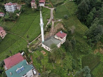 800 Yillik Camiyi Kurtarmak Için Çevresindeki Agaçlari Kestiler
