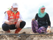 Baskan Çolakbayrakdar, 'Kentin Kalbinde Tarim Ile Türkiye Için Ilham Verici Bir Model Olduk' Haberi