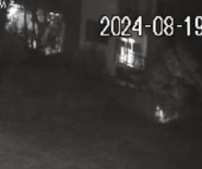 Bozcaada'da Otluk Alani Atese Veren Bir Kisi Güvenlik Kamerasina Yansidi Haberi