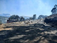 Bozdogan'da Hasar Tespit Çalismalari Basladi