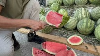 Düzce'de Yerli Karpuz Tezgaha Indi Haberi