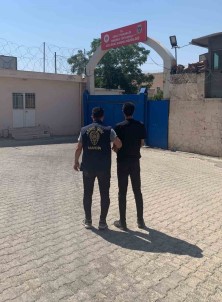 Mardin'de Firari 12 Suçlu Yakalandi