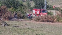 Sinop'ta Otlarin Yakilmasi Panige Neden Oldu Haberi