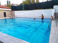 35 Derece Hava Sicakliginda 41 Derece Sicakliktaki Havuza Girerek Sifa Buluyorlar Haberi