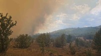 Ankara'da Baslayan Yangin Bolu'ya Siçradi Haberi