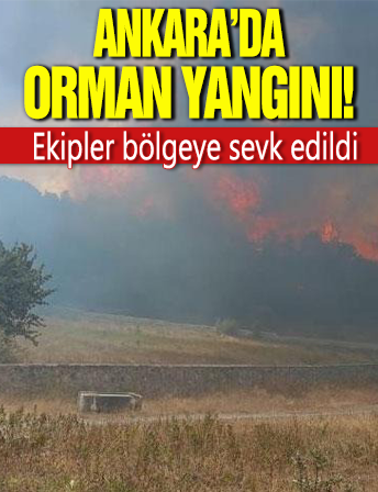 Ankara Kızılcahamam'da orman yangını! Müdahale sürüyor