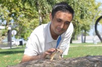 Bahçede Buldugu Sincap En Yakin Arkadasi Oldu Haberi