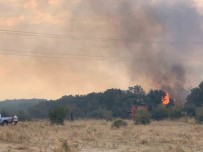Edirne'de Orman Yangini Anizlik Alana Siçradi Açiklamasi 2 Baraka Zarar Gördü Haberi