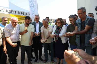Gaziantep Büyüksehir Boz Kavlak Fistigin Alimina Basladi