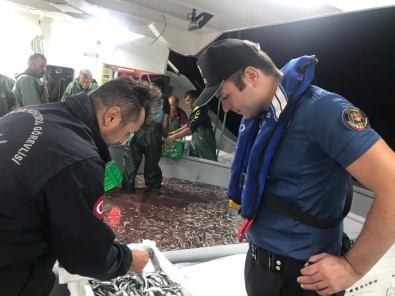 Hamsi Avciligina Kota Getirildi, Gemi Sahipleri Için Son Basvuru Tarihi 6 Eylül