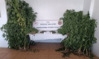 Jandarmadan Uyusturucuya Geçit Yok Haberi