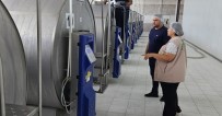 Süt Ve Süt Ürünleri Üreten Isletmeler Denetlendi Haberi