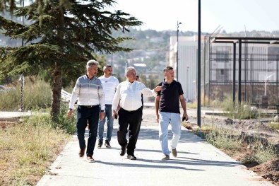 Talas Millet Bahçesi Isil Isil