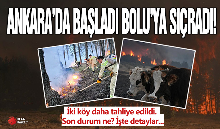 Ankara'da başladı Bolu'ya sıçradı! Gerede'de orman yangını: İki köy daha tahliye edildi! Son durum ne?