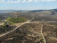 Ankara'dan Bolu'ya Siçrayan Yangin 22 Saat Sonra Kontrol Altina Alindi Haberi