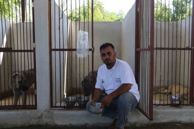Balçikta Ölümü Bekleyen Köpege Hayat Kurtaran Müdahale