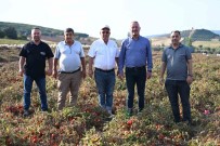 Baskan Karabati'dan Çiftçiye Destek Haberi