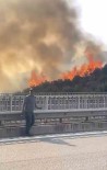 Bursa'da Barakadan Çikan Yangin Zeytinlik Alana Siçradi Haberi