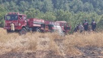Domaniç'Te Yildirim Düsmesi Sonucu Yangin Çikti Haberi