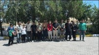 Edirne'de 13 Kaçak Göçmen Yakalandi