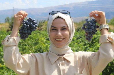 Erzincan'in Tescilli Cimin Üzümü, Dünyaca Meshur Italya'nin Üzümüne Rakip Oldu