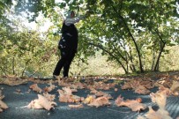 Findikta Fileyle Hasat Maliyetleri Düsürüyor Haberi