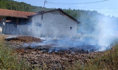Gübre Yangini Ormana Siçramadan Söndürüldü