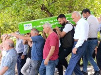 IHA Van Bölge Muhabiri Idiz'in Aci Günü Haberi