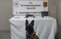 Jandarma Yaptigi Baskinda Kenevir Ve Esrar Ele Geçirdi Haberi