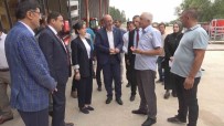 Kütahya'da AB Destekli Besi Çiftligi Haberi
