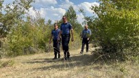 Ormanlara Giris Yasagi Olan Bolu'da Polis Ekiplerinden Habersiz Kus Uçmuyor Haberi