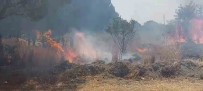 Otluk Alanda Çikan Yangin Ormana Ulasmadan Söndürüldü Haberi