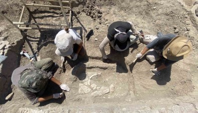 (Özel) Apollon Smintheus Tapinagi'nda 1700 Yillik Mezar Bulundu