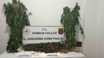 Samsun'da 6 Kilo 550 Gram Kubar Esrar Ele Geçirildi Haberi