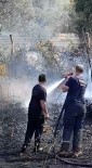 Yalova'da Zeytinlik Alanda Yangin Haberi