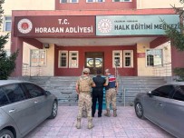 Büyükbas Hayvan Hirsizlari Jandarmadan Kaçamadi Haberi
