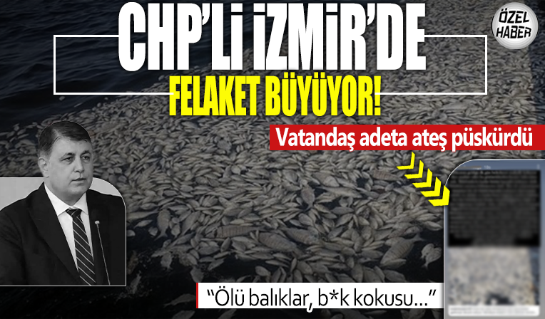 CHP’nin yönetimindeki İzmir’de felaket büyüyor! Ölü balıklar, kötü kokular, umursamazlık….