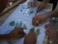 Iklim Degisikligine Dikkat Çekmek Için Kumaslara Ekolojik Baski Yaptilar